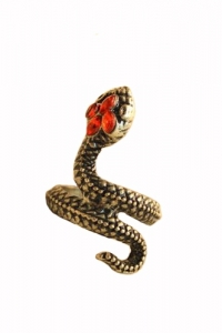 Кольцо Змея